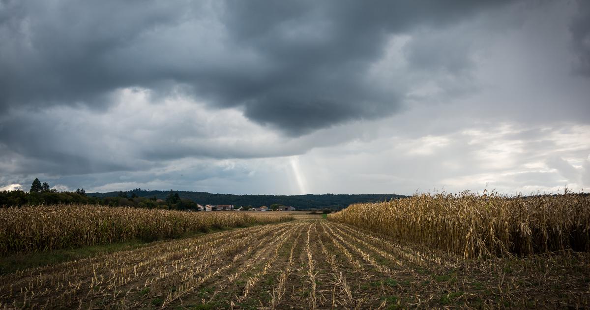 2407 The dark clouds blotted out the sun.jpg