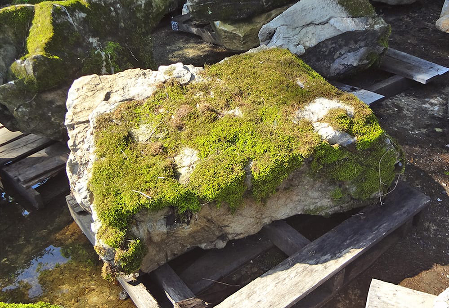 2407 Moss Rock.jpg