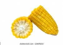 2406 Boiled Chopped Corn Cob