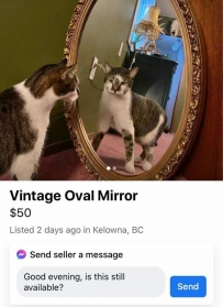 2406 Vintage Oval Mirror