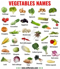 2406 list of vegetables