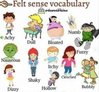 2406 Felt Sense Vocabulary
