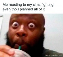 Me reacting to my sims fighting