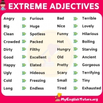 2406 Extrem Adjectives