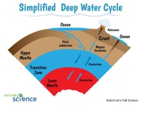 2406 Simplified deep water cycle