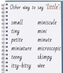 2406 Other ways to say little