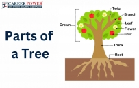 Parts of a Tree featured