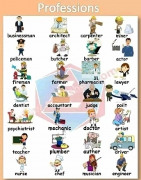 2406 Professions Words