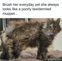 2406 She always looks like a taxidermied muppet