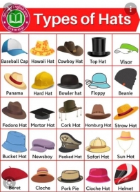 2406 Names of Types of hats