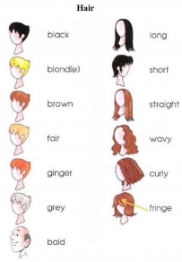 2406 Hair types for female