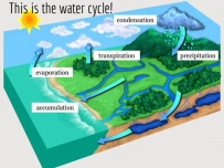 2406 Water cycle diagram