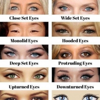 2407 General types of eye shapes