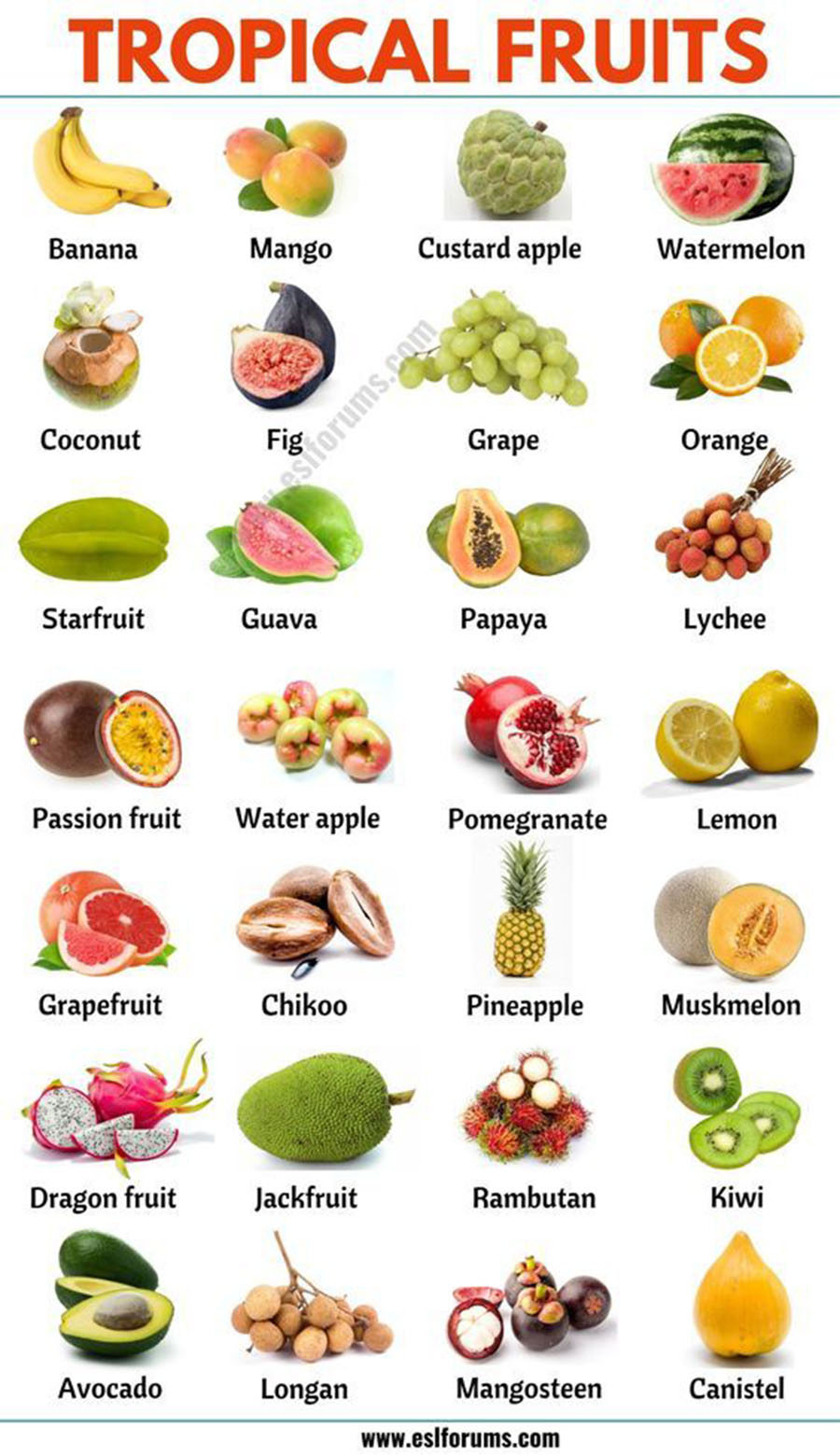 2406 Tropical Fruits.jpg