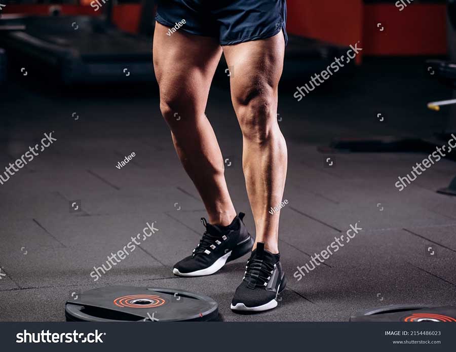 2407 Strong legs.jpg