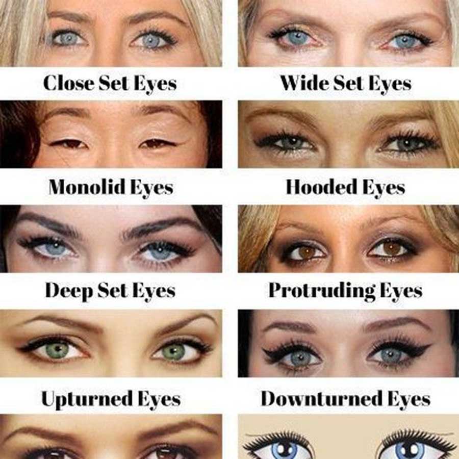 2407 General types of eye shapes.jpg