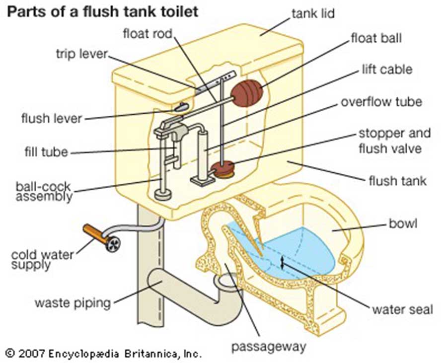 2407 Parts of a flush tank toilet.jpg