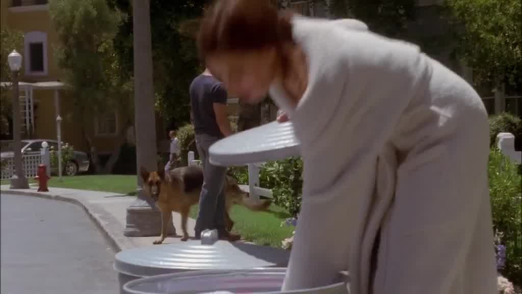 We see MIKE a little distance away behind her, walking his dog again.jpg