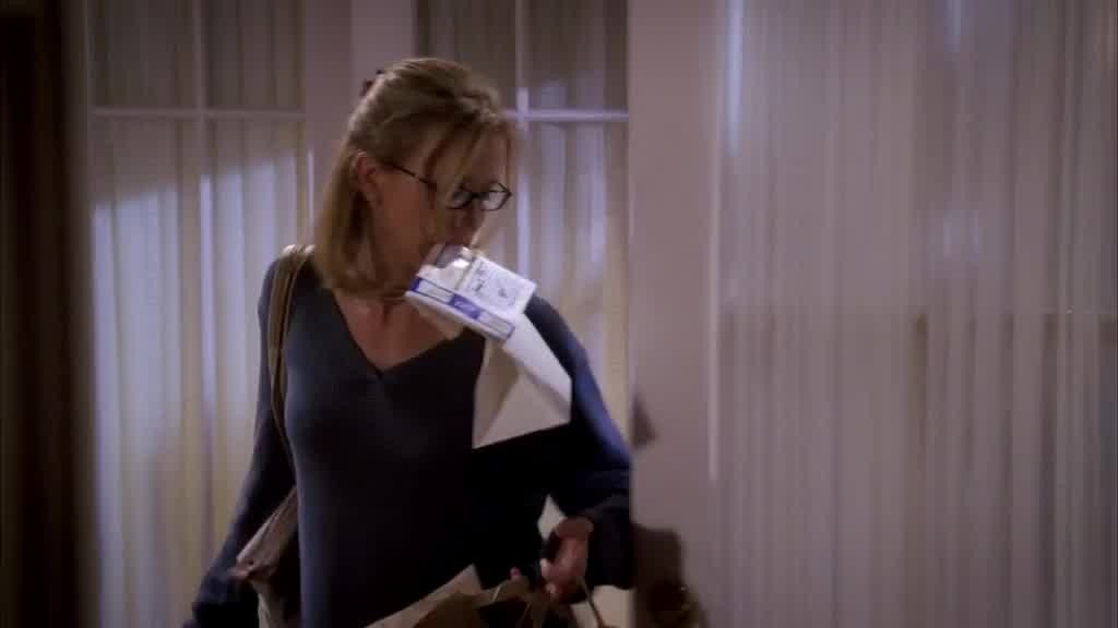 LYNETTE comes in the door with bags of stuff, and mail in her mouth.jpg