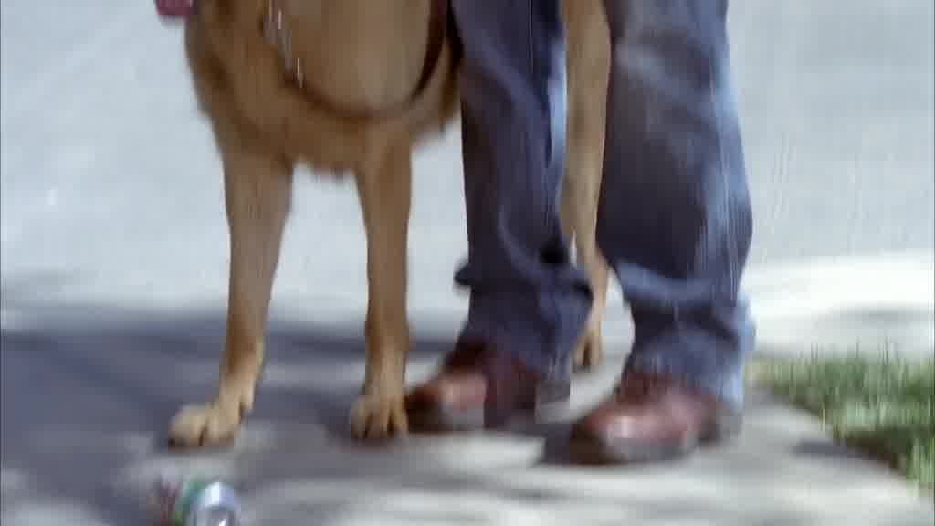 She picks the can against the car, which rolls down the driveway and stops at MI.jpg