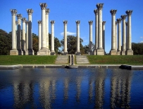 2407 Tall columns