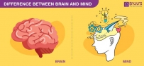 2407 Brain vs mind