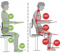 2407 Erect and relaxed sitting position